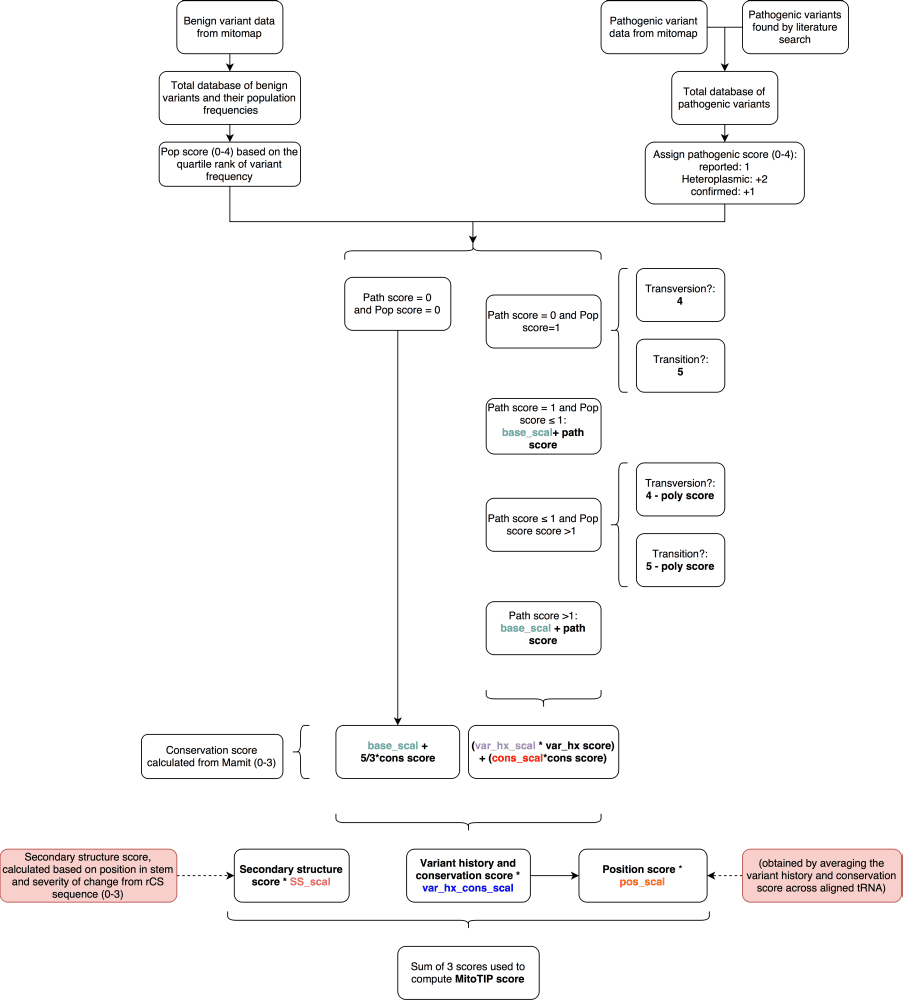 ScoringFlowchart